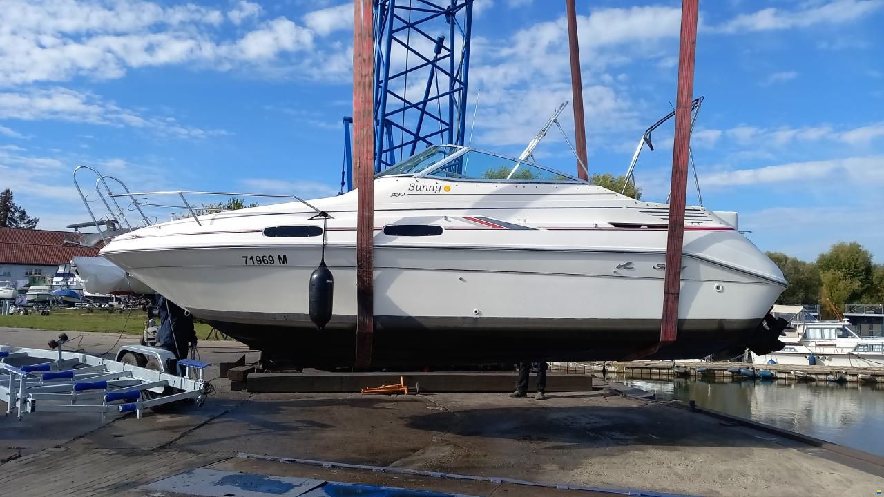 Sea Ray 230 DA