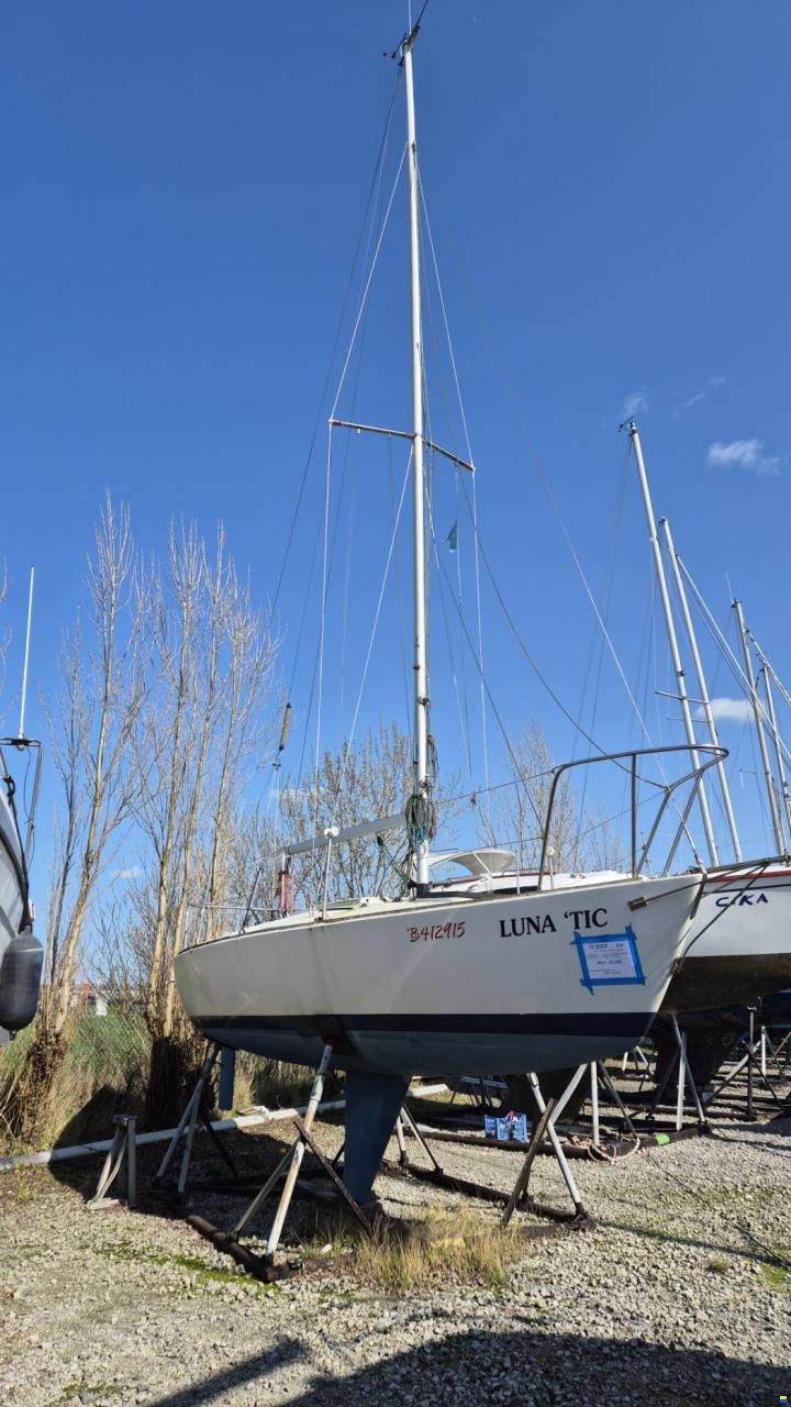J Boats J-24