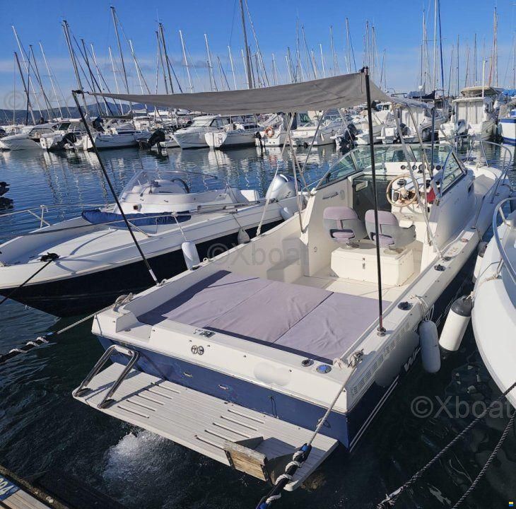 Kelt WHITE SHARK 237