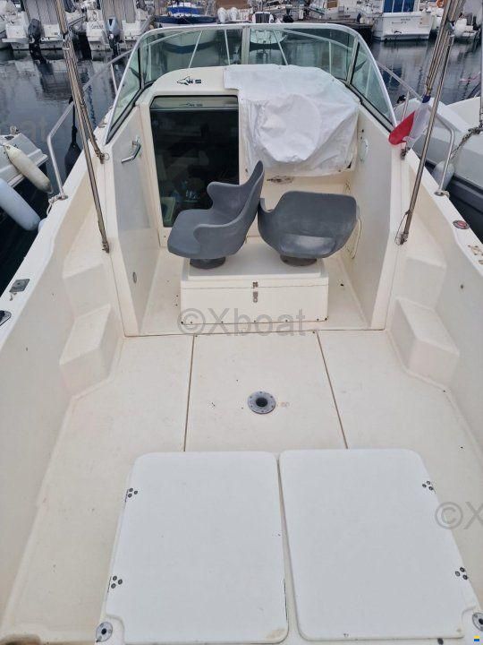 Kelt WHITE SHARK 237