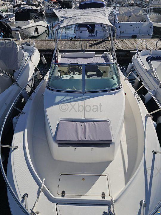 Kelt WHITE SHARK 237