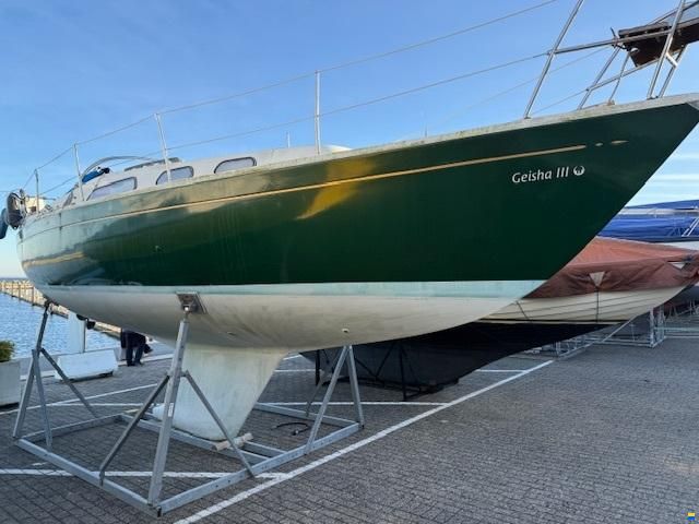 Olsen 29