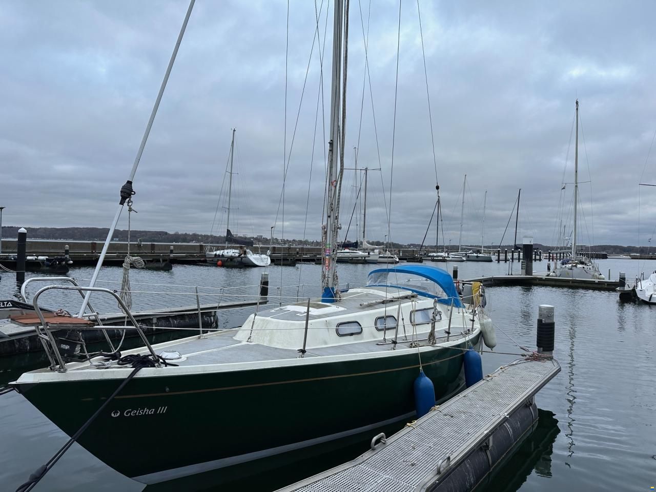 Olsen 29