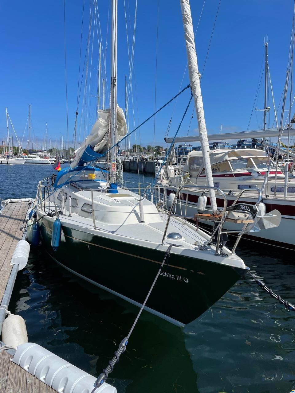 Olsen 29