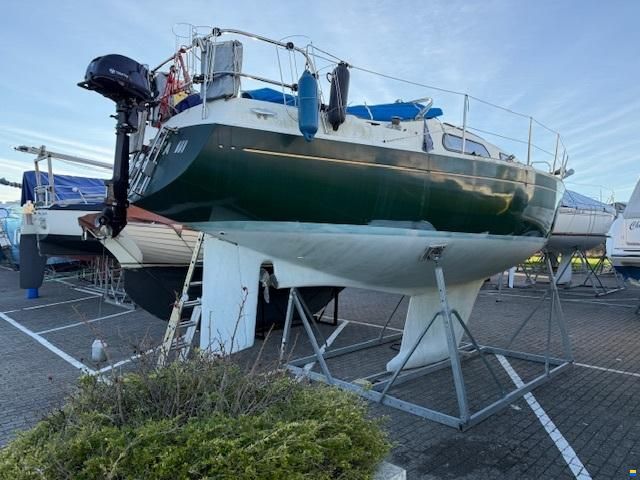 Olsen 29