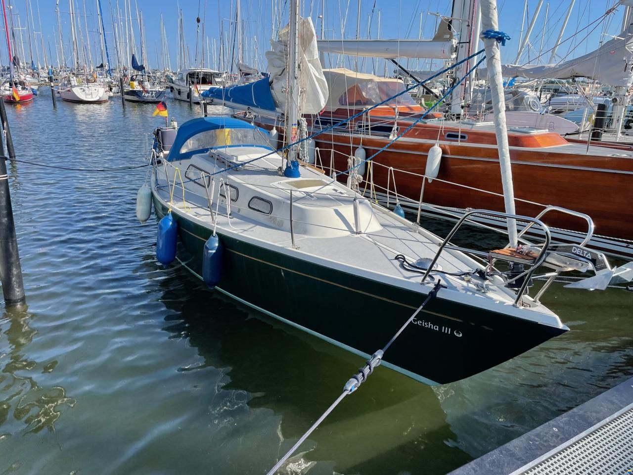 Olsen 29