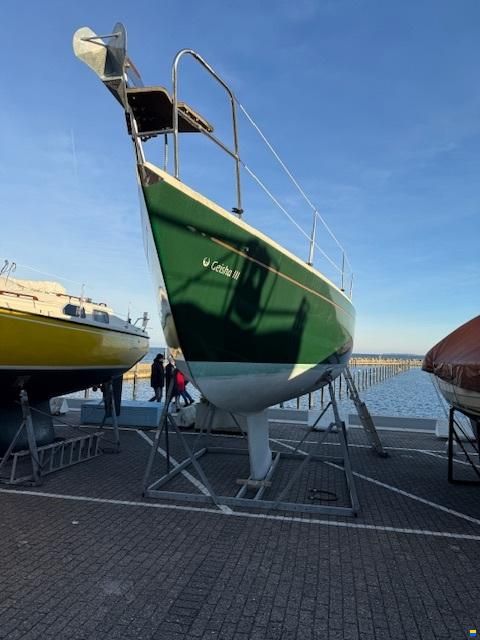 Olsen 29