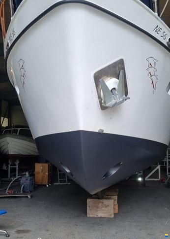 Holterman & De Vries N DOLPHIN