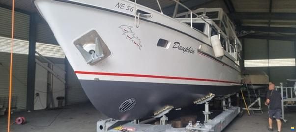 Holterman & De Vries N DOLPHIN