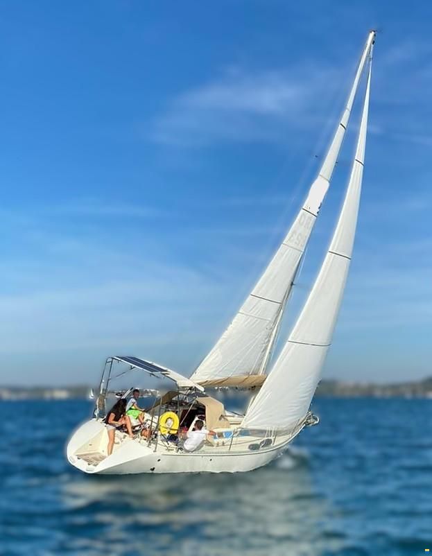 Elan 33