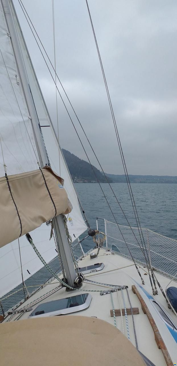 Elan 33