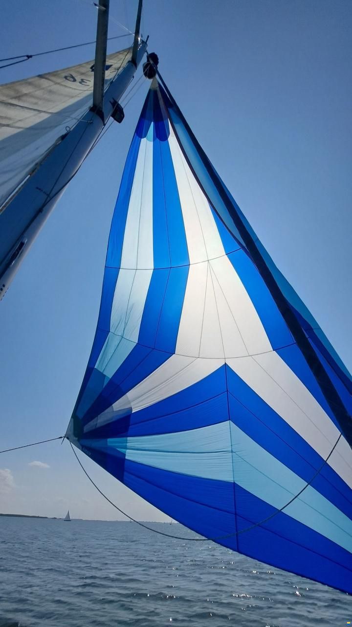 Bavaria 36-3