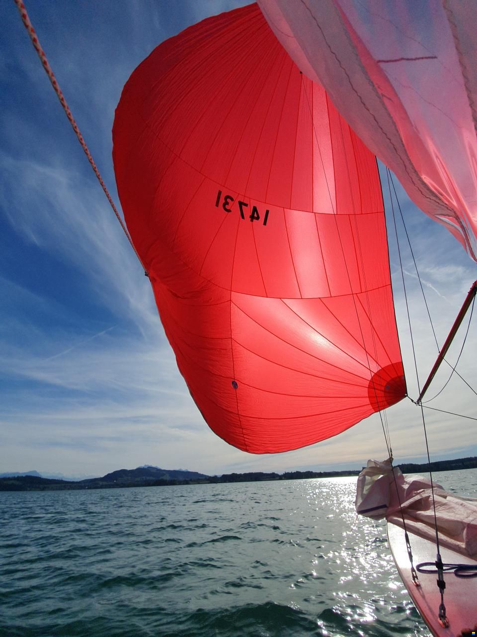 De Vita & Pellegrino Lightning