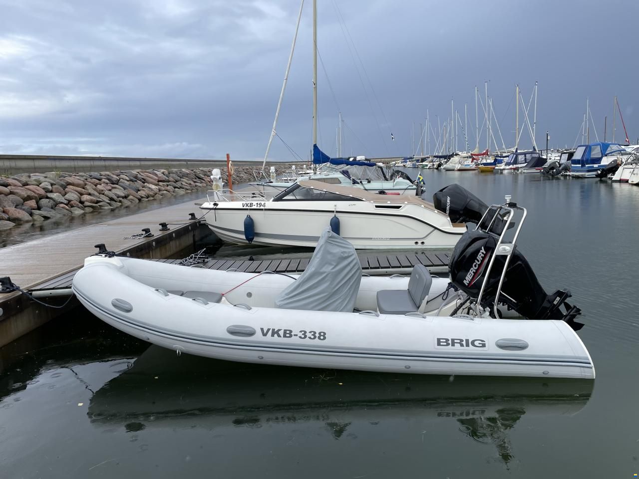 Brig Falcon 500L