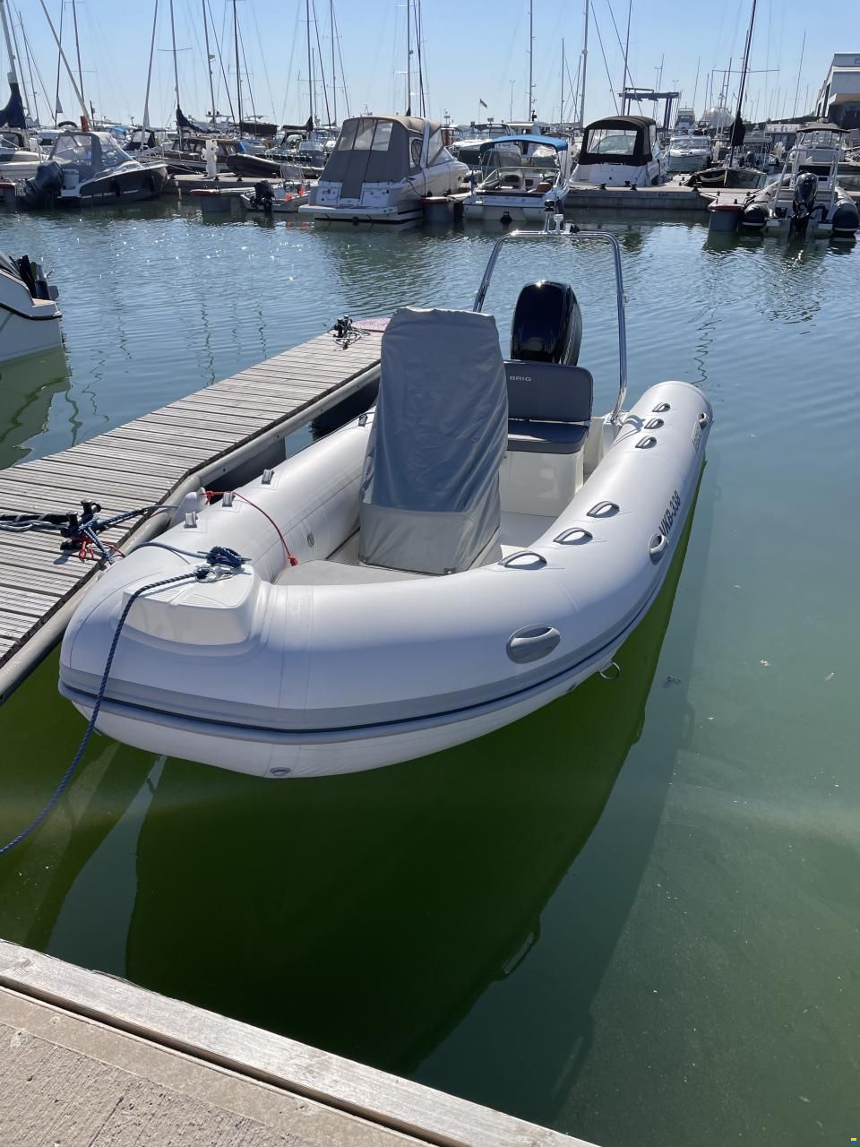 Brig Falcon 500L