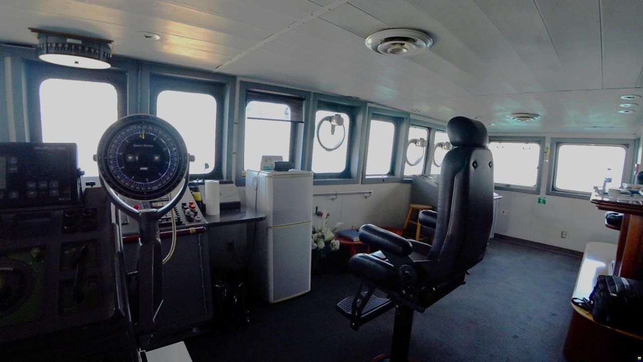 81 m Explorer