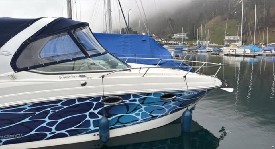 Chaparral Signature 250