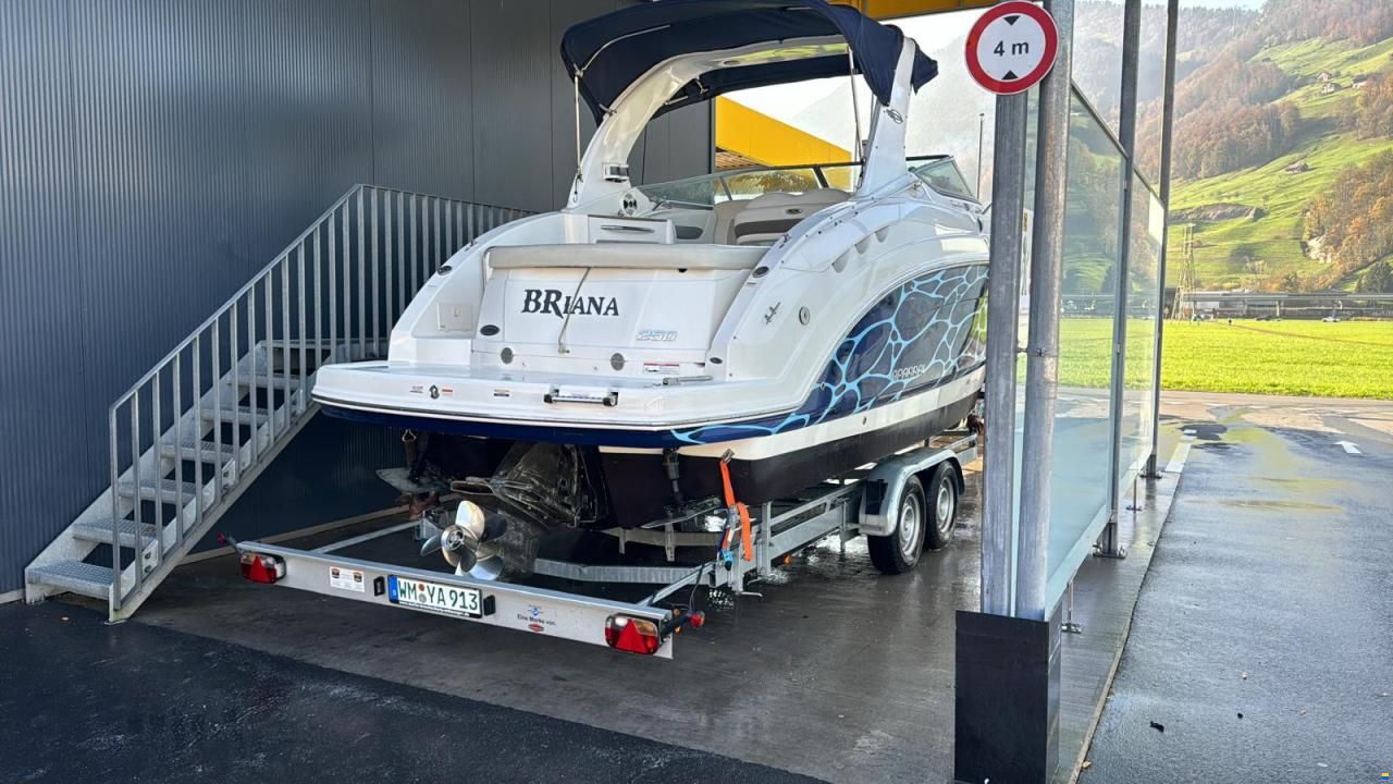 Chaparral Signature 250