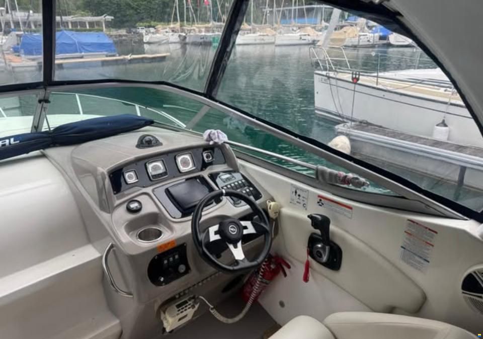 Chaparral Signature 250