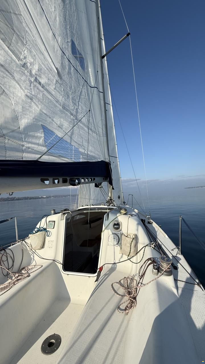 Archambault Surprise