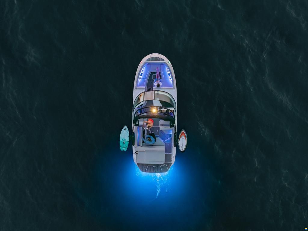 Sea Ray SDX 230 Surf