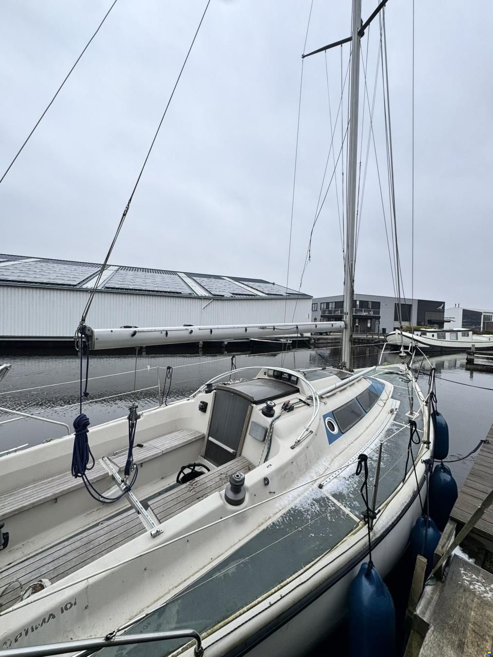 Dehler Optima 101