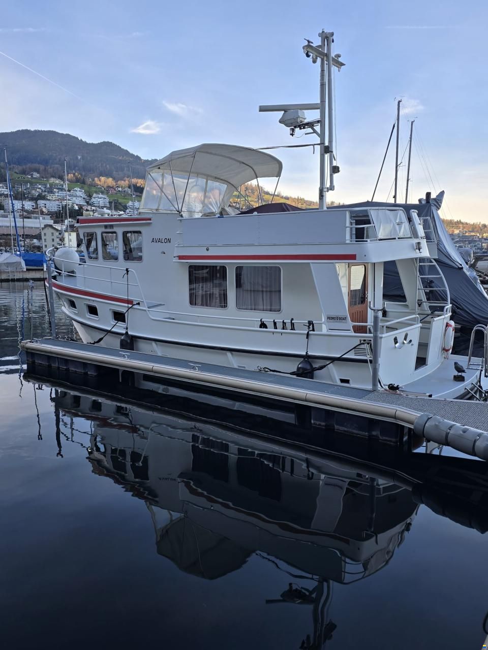 Pedro Bora 38 Berlin