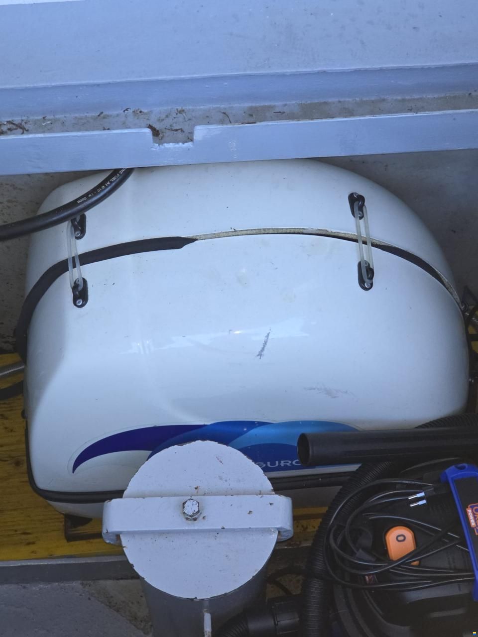 Pedro Bora 38 Berlin