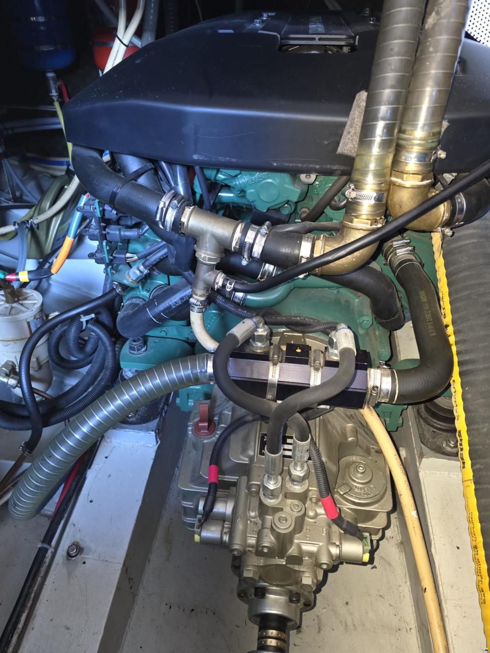 Pedro Bora 38 Berlin