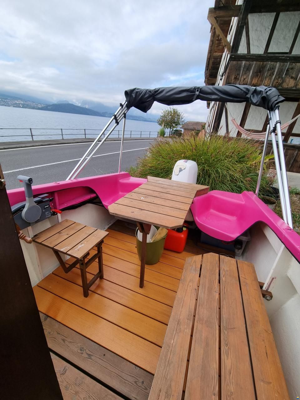 Chrisidon Microplus 501