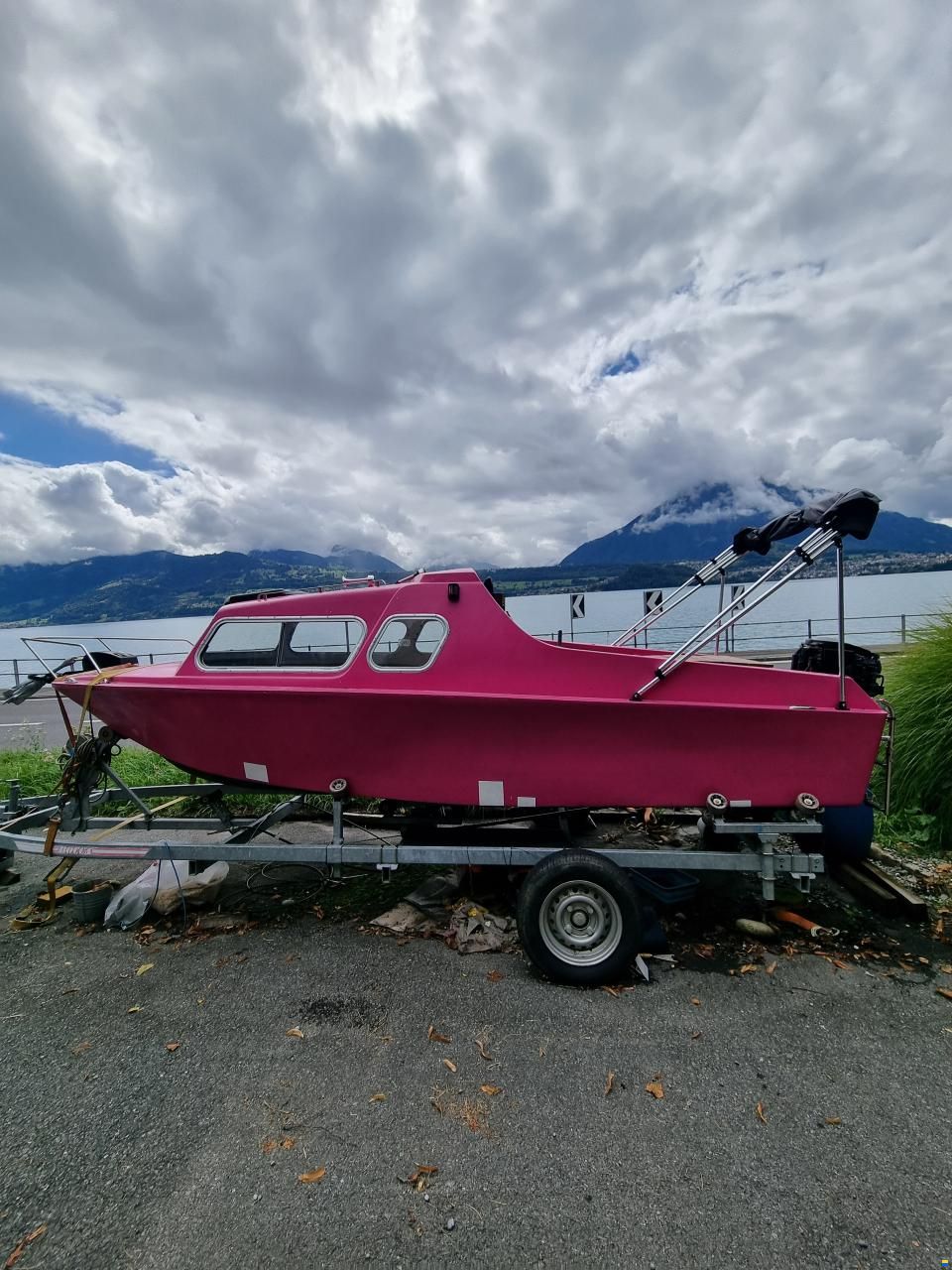 Chrisidon Microplus 501