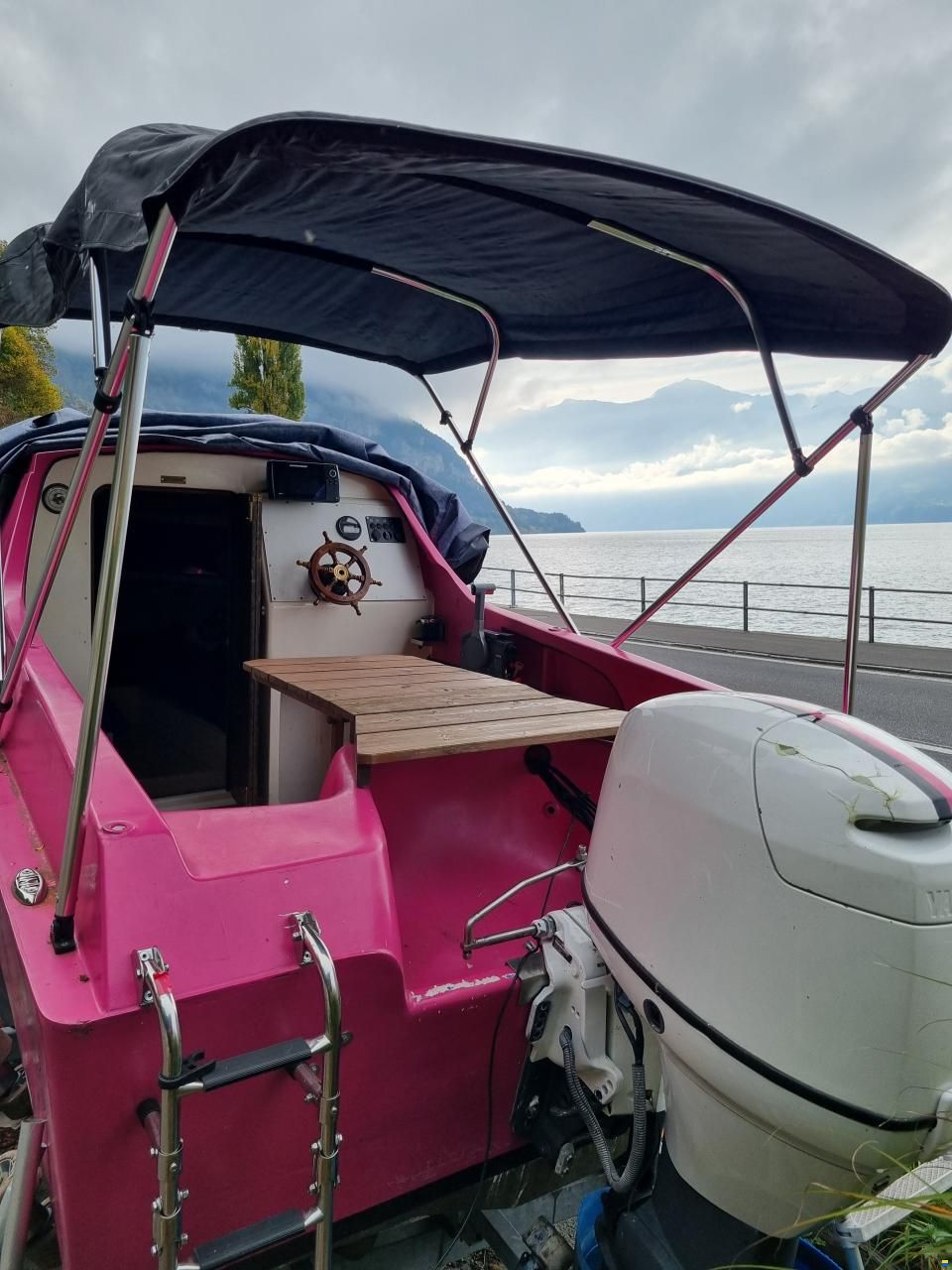 Chrisidon Microplus 501