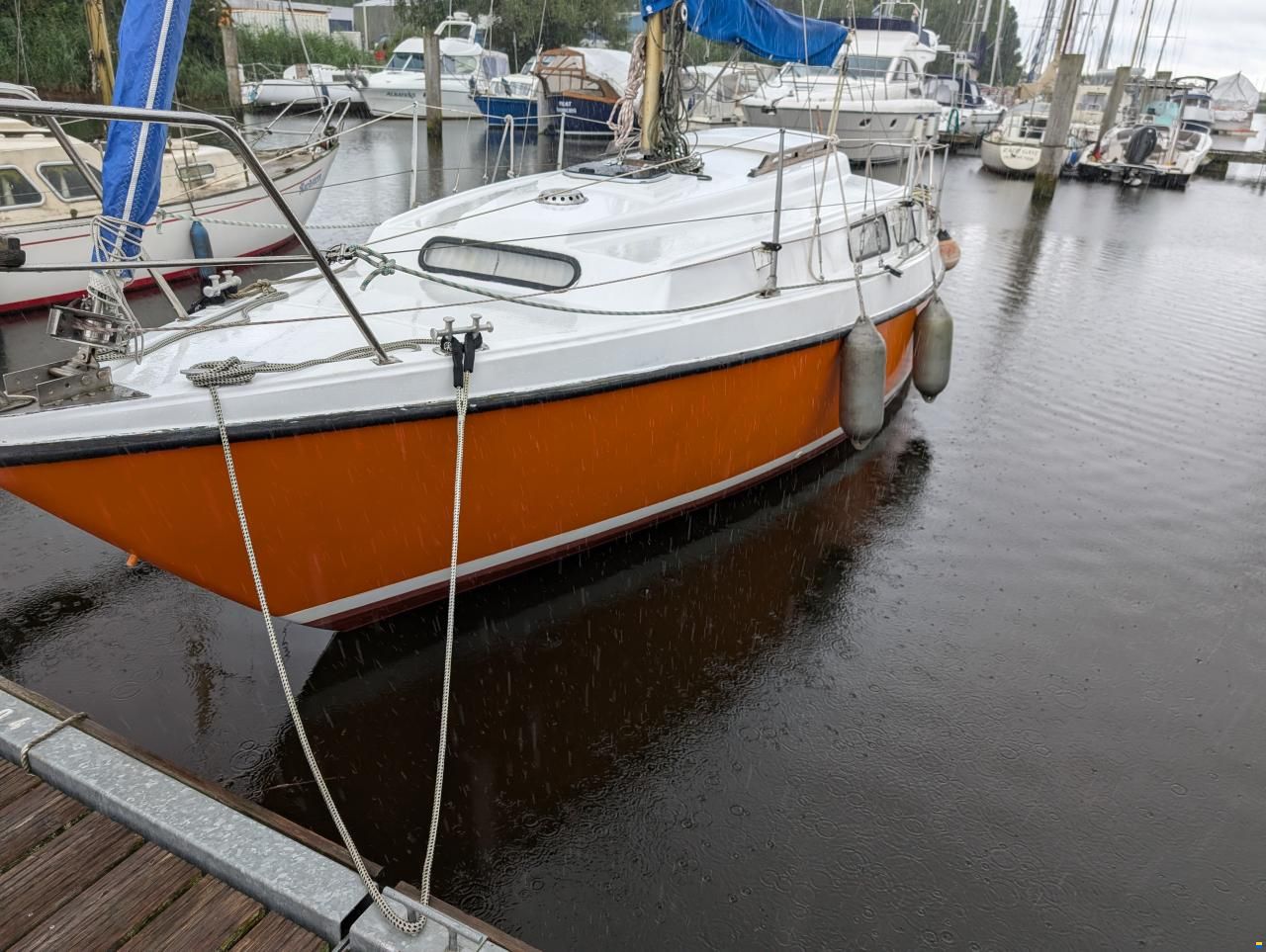 Neptun 26