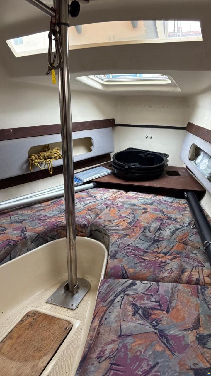 BWC Flying Cruiser F - family Sportversion