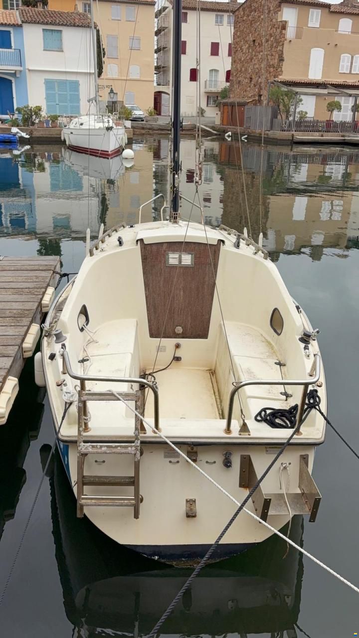 BWC Flying Cruiser F - family Sportversion