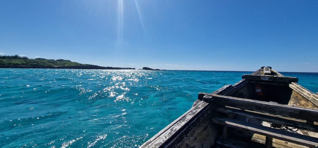 Place de port a louer 10 / 230  8m x3,25