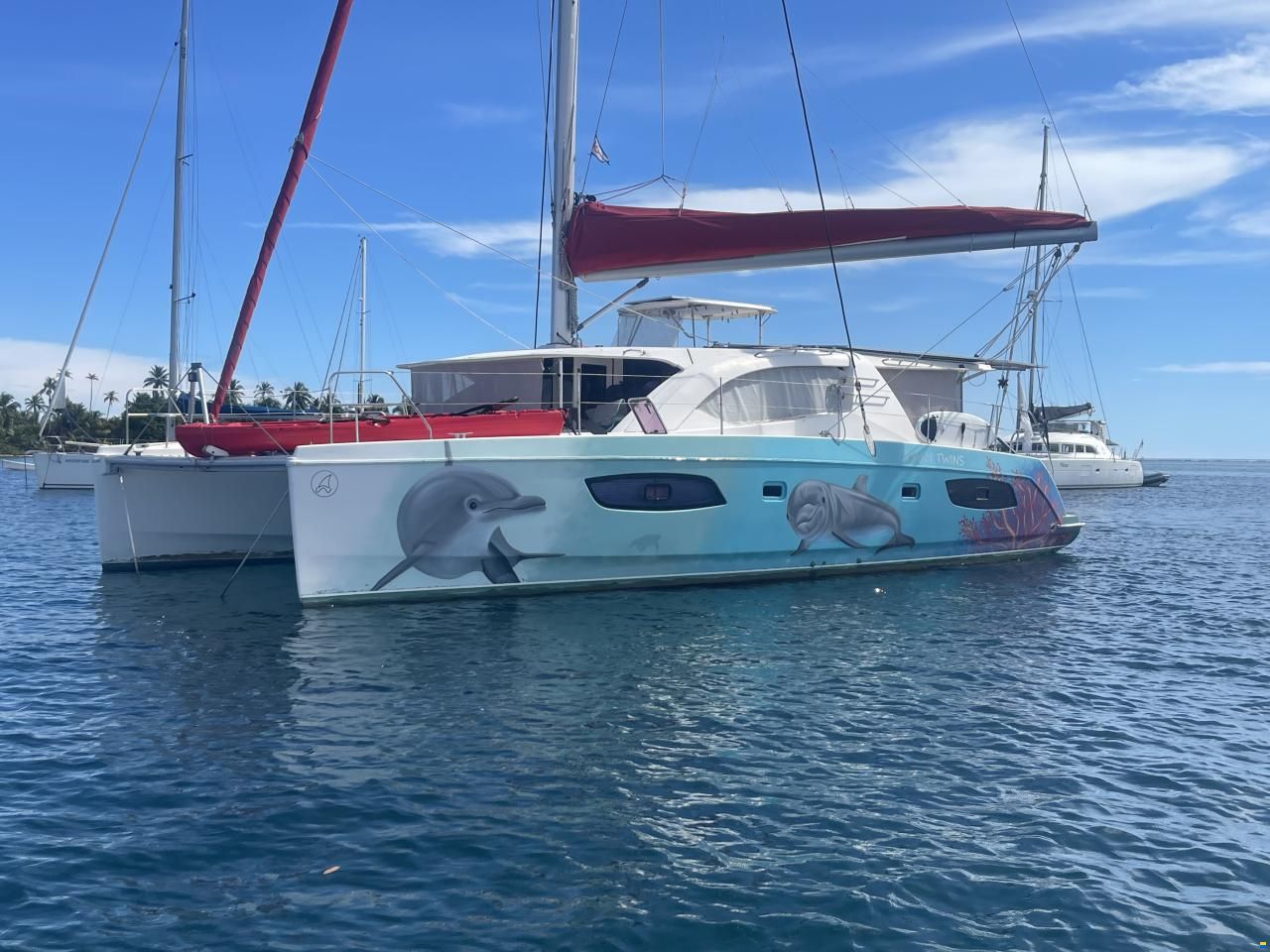 Leopard 44