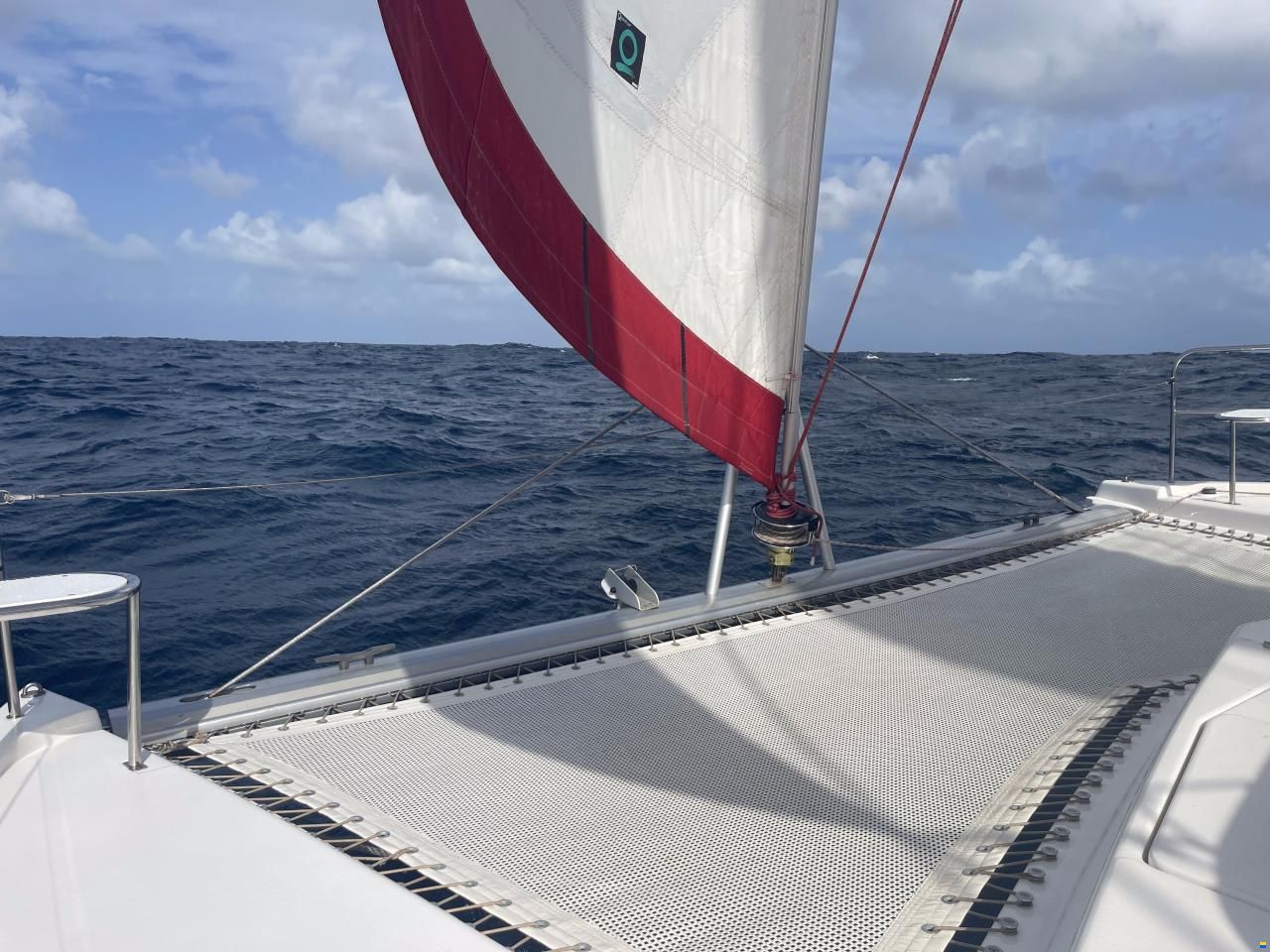 Leopard 44