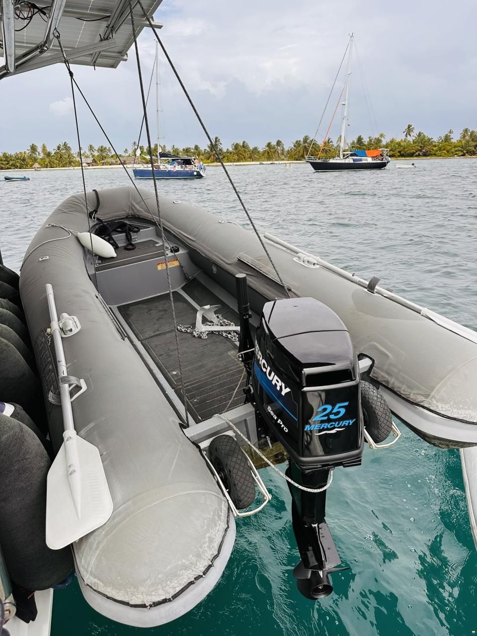 Leopard 44