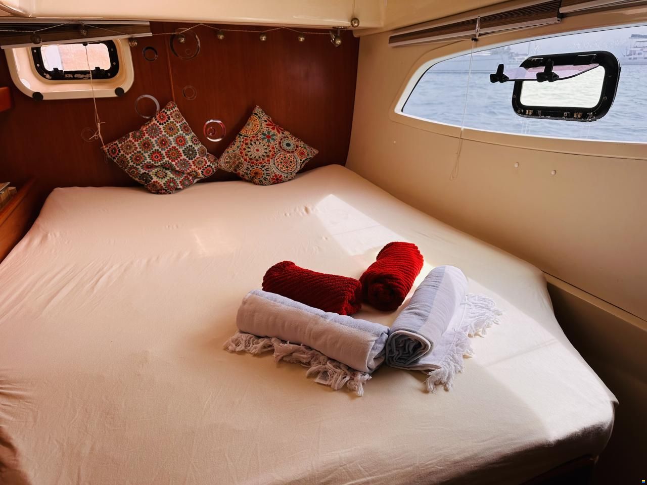 Leopard 44