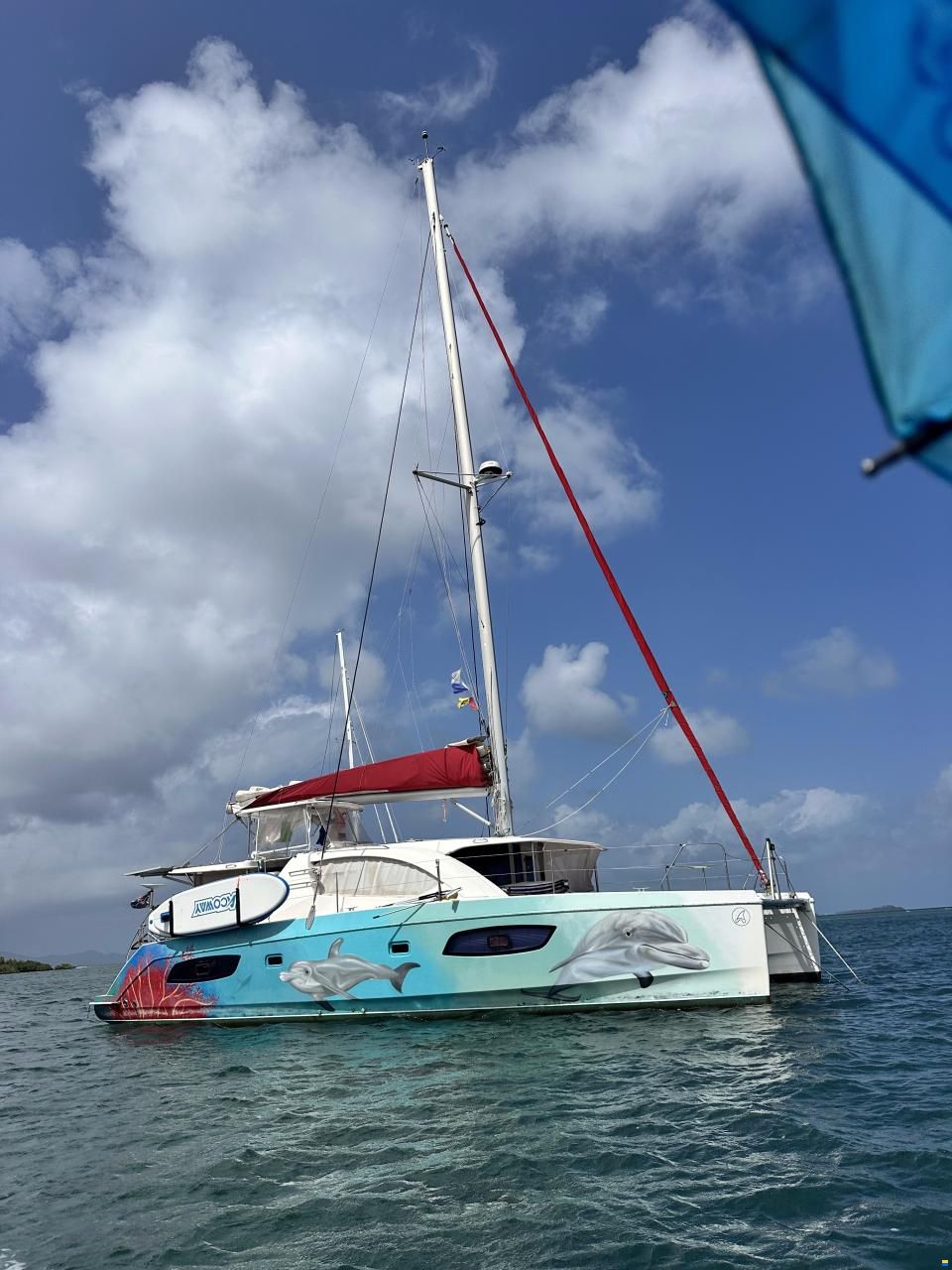 Leopard 44