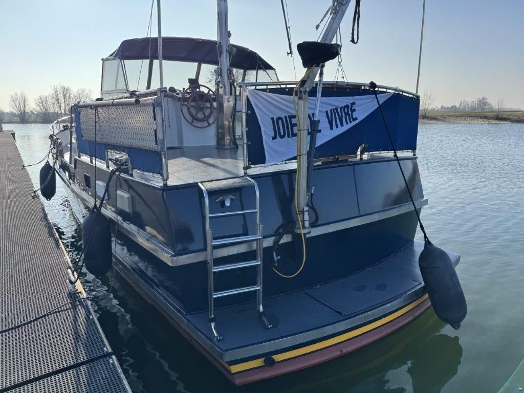 Monty Bank 43