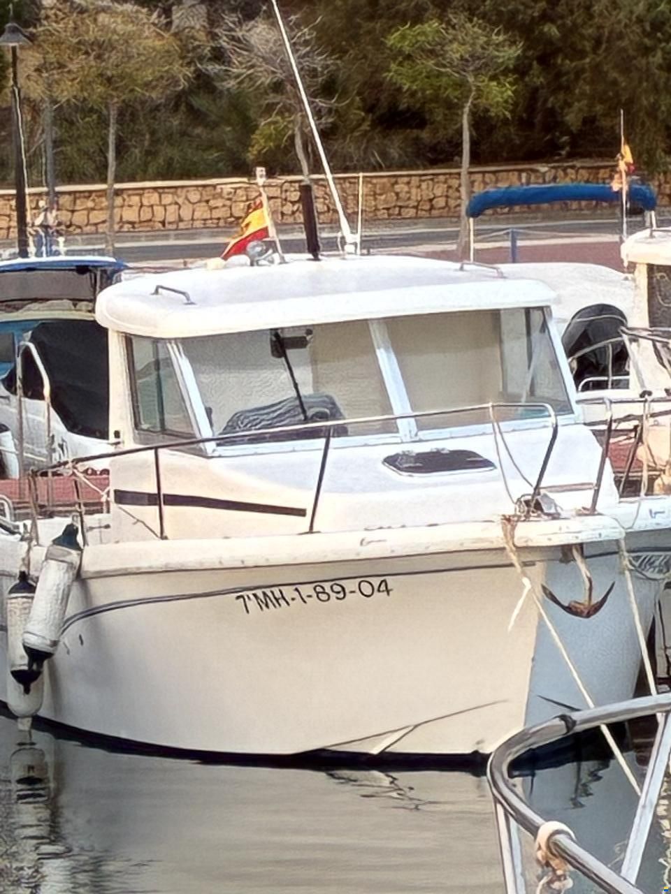 Tarraga 600