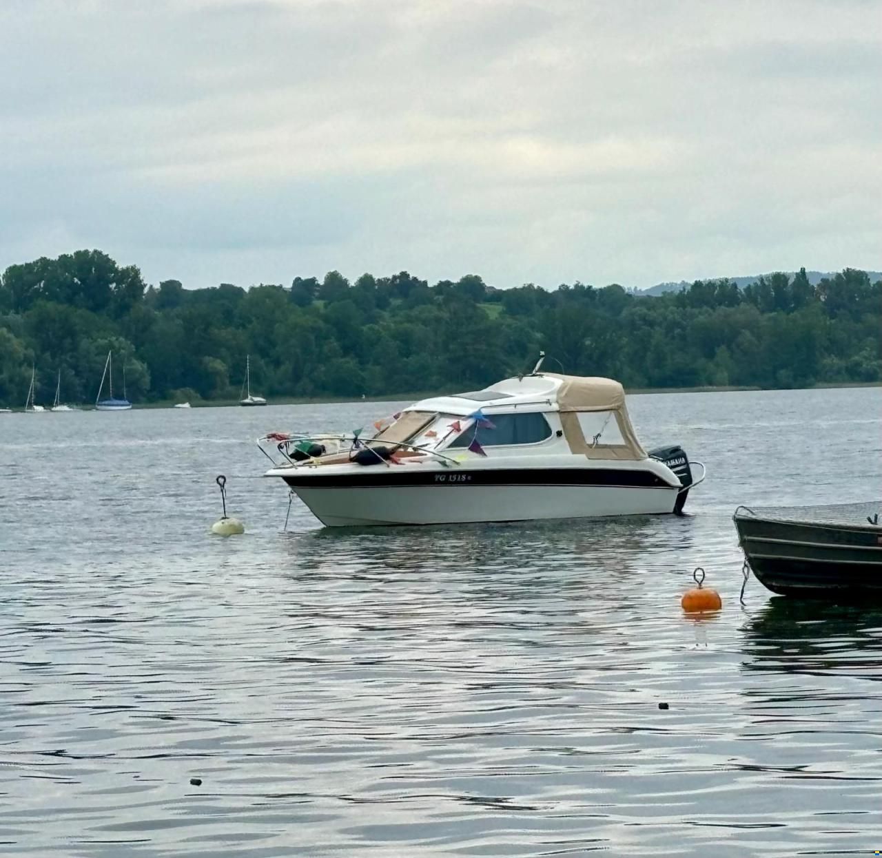 Finnmaster 6100 Royal OC