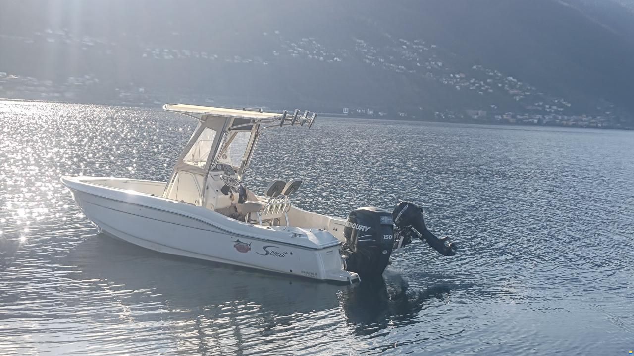 Scout Boats Sportfish 205