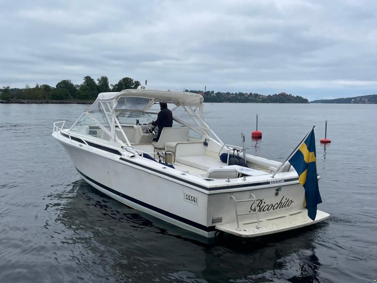 Bertram 28 Moppie
