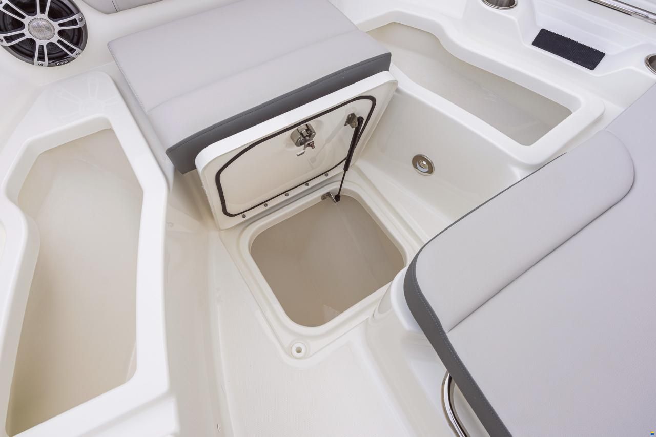 Sea Ray SDX250E OUTBOARD & Trailer (NE
