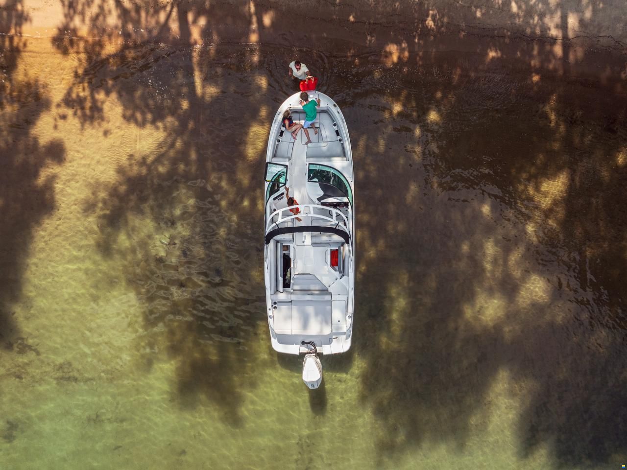 Sea Ray SDX250E OUTBOARD & Trailer (NE