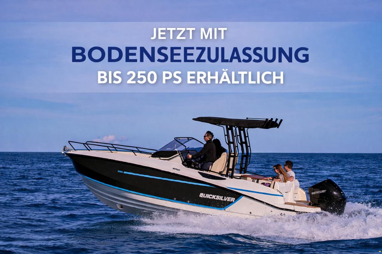 Quicksilver Activ 805 Open, bis 250PS & Trailer (