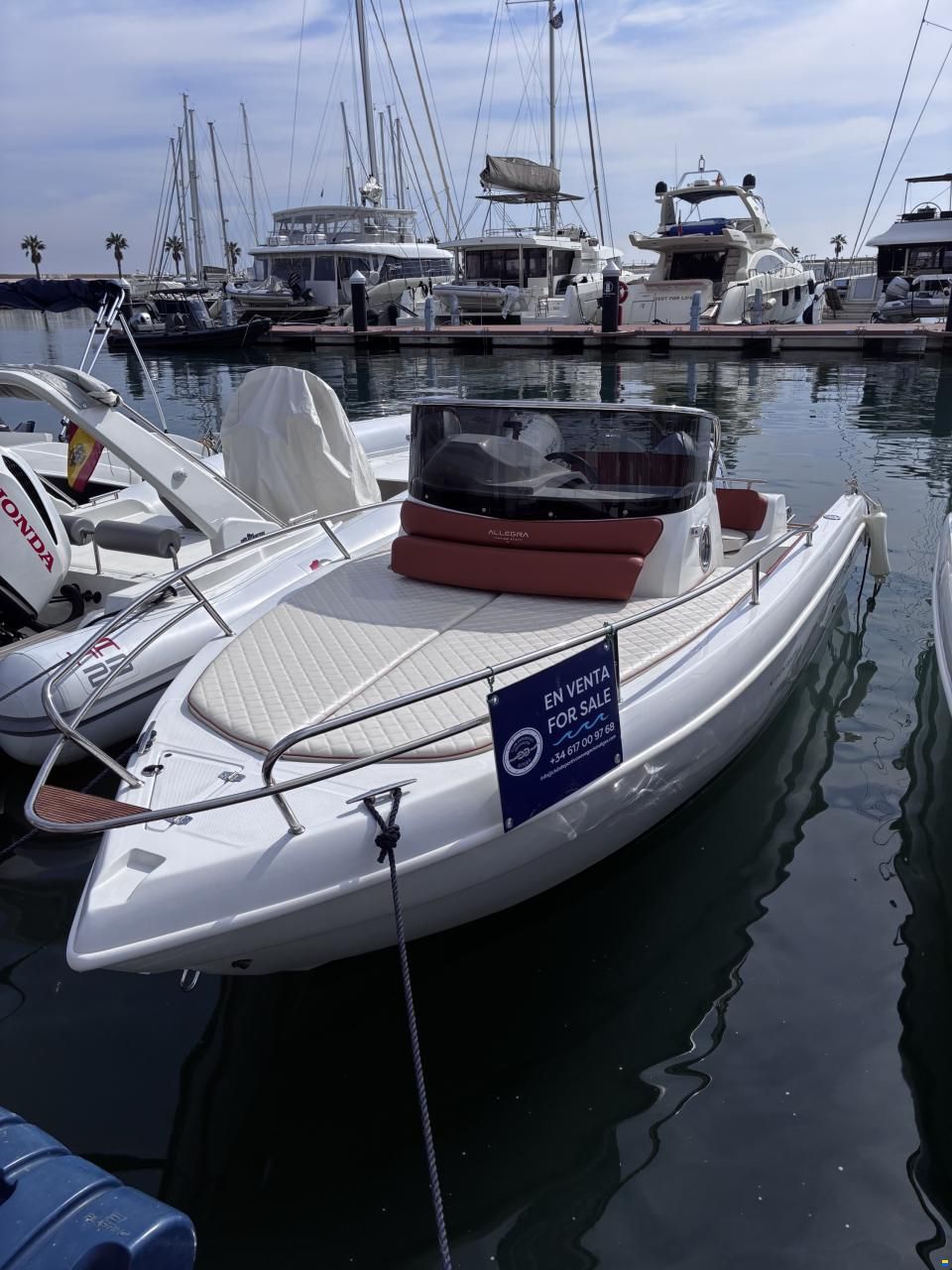 Allegra 19DN